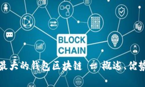 bip: biaoti最大的钱包区块链 - 概述、优势与未来发展