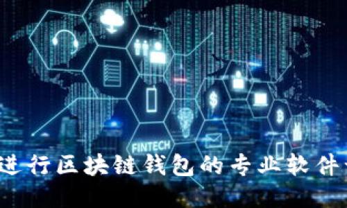 如何进行区块链钱包的专业软件开发？