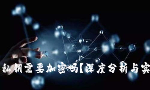 冷钱包私钥需要加密吗?深度分析与实用指南