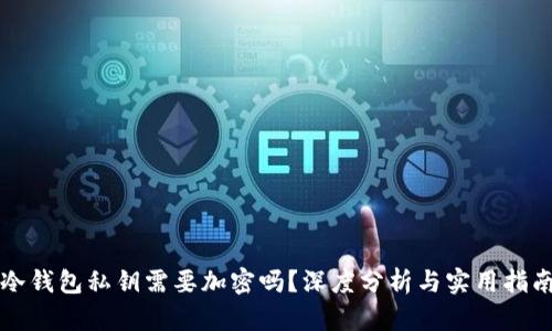 冷钱包私钥需要加密吗?深度分析与实用指南