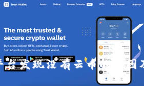 Tokenim平台发现没有云币的原因及解决方法