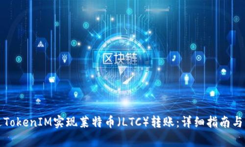 如何通过TokenIM实现莱特币（LTC）转账：详细指南与注意事项