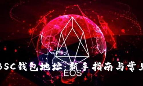 如何查看BSC钱包地址：新手指南与常见问题解析