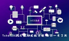 Tokenim挖矿奖励发放详解：