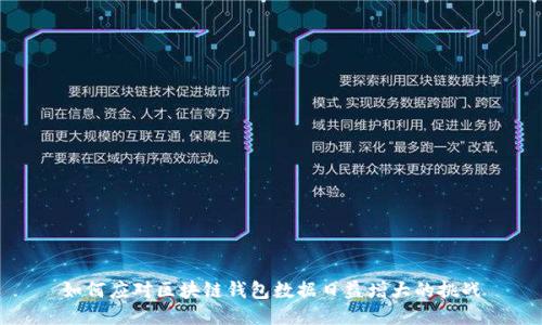如何应对区块链钱包数据日益增大的挑战