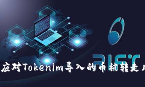 如何应对Tokenim导入的币被转走风险？