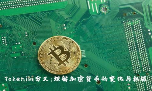 Tokenim分叉：理解加密货币的变化与机遇