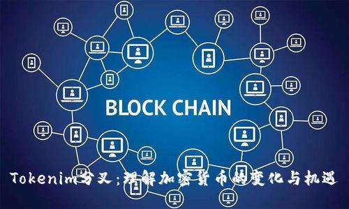 Tokenim分叉：理解加密货币的变化与机遇