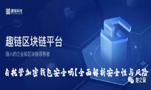 自托管加密钱包安全吗?全面解析安全性与风险