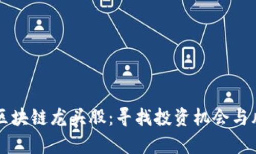 真正的区块链龙头股:寻找投资机会与风险评估