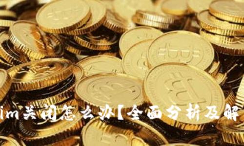 Tokenim关闭怎么办?全面分析及解决方案