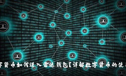 中国数字货币如何进入雷达钱包?详解数字货币的使用与管理