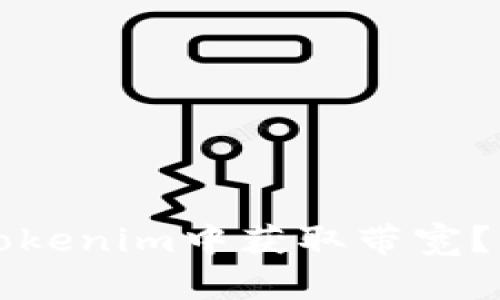 ### 如何在Tokenim中获取带宽？详解与实用策略