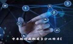 中本聪到底拥有多少比特