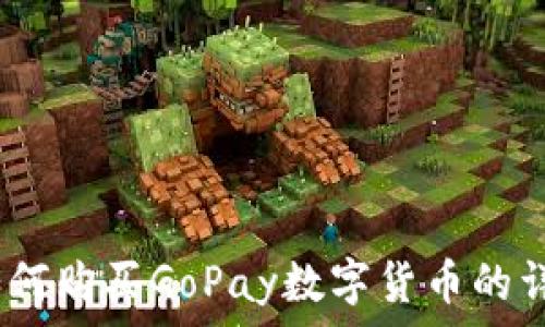  
全面解析：如何购买GoPay数字货币的详细视频教程