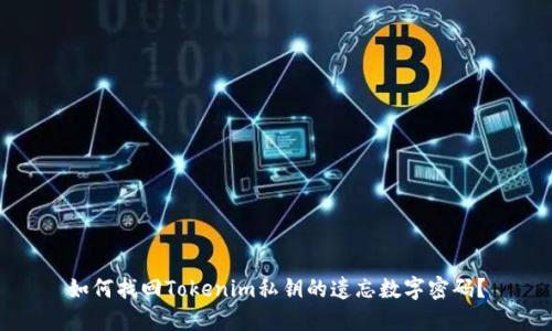 如何找回Tokenim私钥的遗忘数字密码？