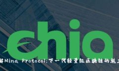 深入了解Mina Protocol：下一