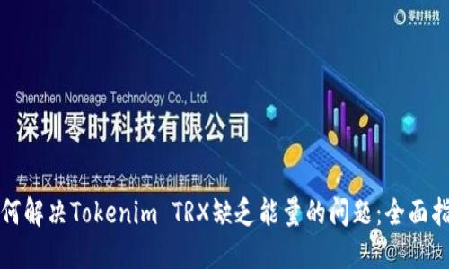 如何解决Tokenim TRX缺乏能量的问题：全面指南