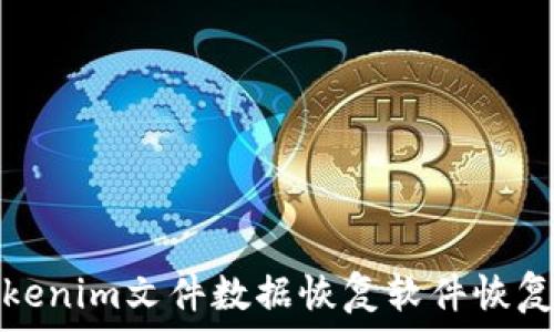   
如何使用Tokenim文件数据恢复软件恢复丢失的数据