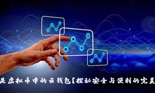 什么是虚拟币中的云钱包?探秘安全与便利的完美结合