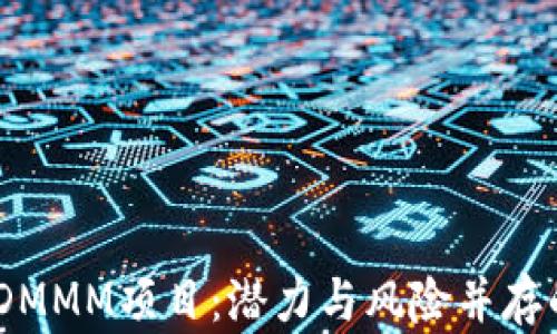 
深入分析Tokenim DMMM项目：潜力与风险并存的数字资产投资机会