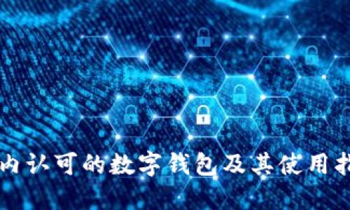 国内认可的数字钱包及其使用指南