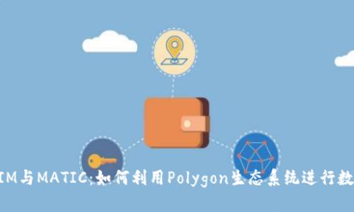 解读TokenIM与MATIC:如何利用Polygon生态系统进行数字资产管理