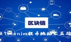 如何解决Tokenim提币地址不