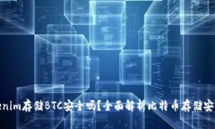 Tokenim存储BTC安全吗？全面