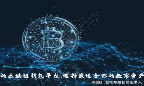 探索最大的区块链钱包平台：选择最适合你的数字资产管理方式