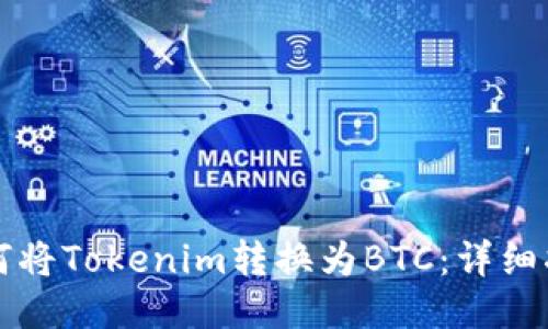 如何将Tokenim转换为BTC：详细指南