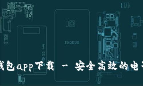 官方数字钱包app下载 - 安全高效的电子支付工具
