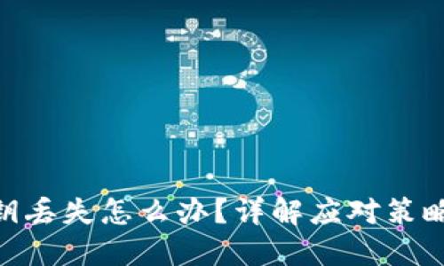 TokenIM密钥丢失怎么办?详解应对策略与解决方案