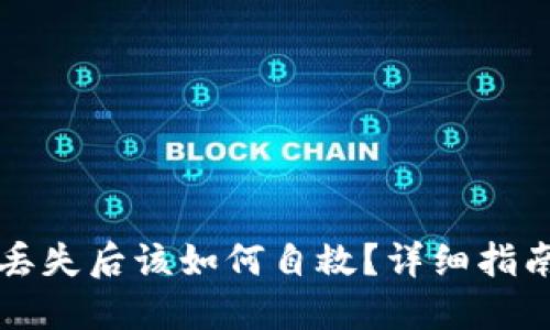 虚拟币钱包丢失后该如何自救?详细指南与解决方案