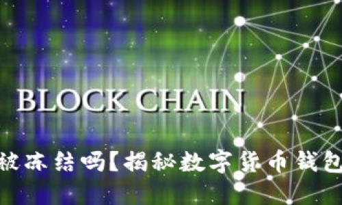 数字货币钱包会被冻结吗?揭秘数字货币钱包的安全性和风险
