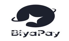 加密货币的实际应用与未