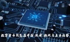 数字货币钱包在中国：现
