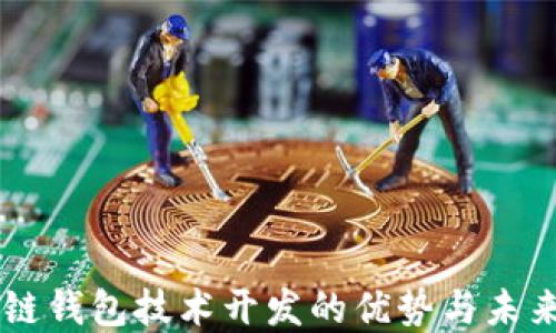 区块链钱包技术开发的优势与未来展望
