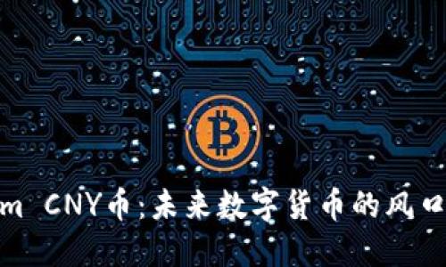 Tokenim CNY币：未来数字货币的风口与机遇