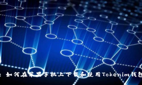 : 如何在苹果手机上下载和使用Tokenim钱包
