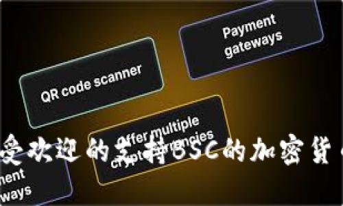 2023年最受欢迎的支持BSC的加密货币钱包推荐