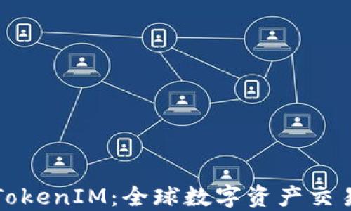 
海外版TokenIM：全球数字资产交易的未来