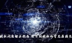 Tokenim授权问题解决指南：