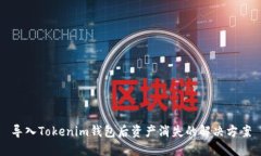 导入Tokenim钱包后资产消失