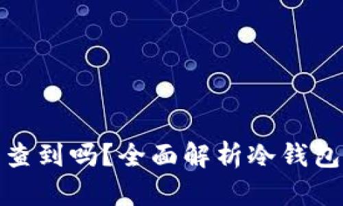 冷钱包资产被盗能查到吗?全面解析冷钱包安全性与防盗措施