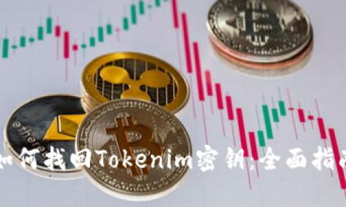如何找回Tokenim密钥:全面指南