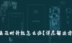 Tokenim未及时升级怎么办？