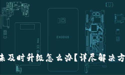 Tokenim未及时升级怎么办?详尽解决方案与步骤
