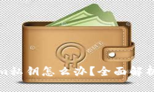 忘记Tokenim私钥怎么办?全面解析及应对策略