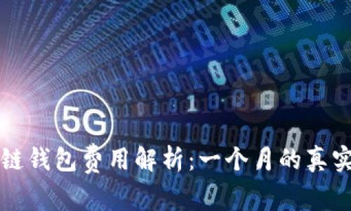 区块链钱包费用解析：一个月的真实成本